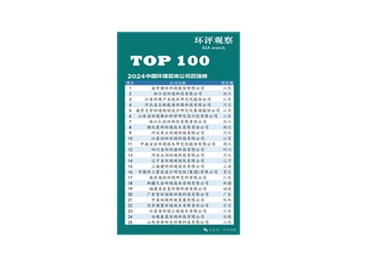 2024中国环境咨询公司百强榜榜首